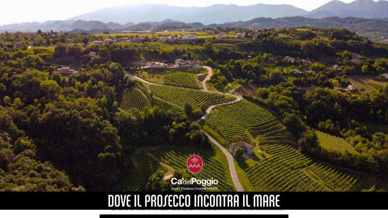 Villa Del Poggio Prosecco Bike Hotel San Pietro Di Feletto Εξωτερικό φωτογραφία
